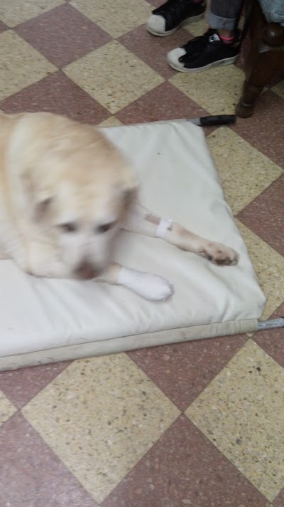 Photos of Veterinaria Dr. Fangio