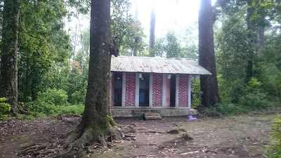 Photos of Wana Wisata Mojosemi