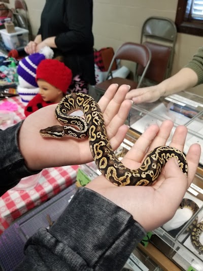 All Maryland Reptile Show