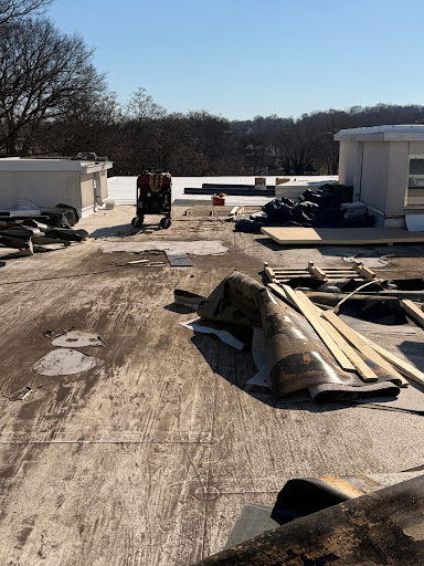 post-image-2