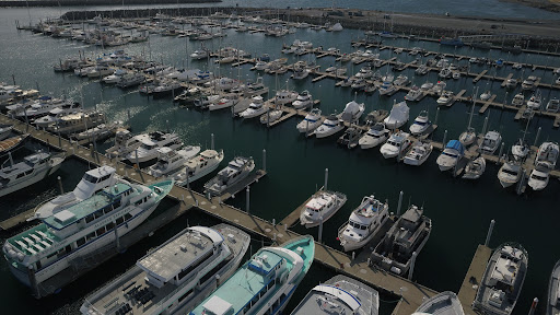 Current Affair Charters - Visual