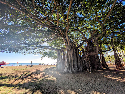 Kuhio Beach - Thumbnail