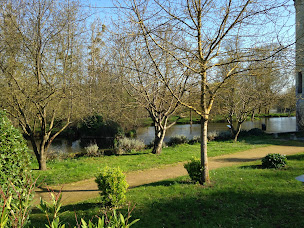 Photo n°27 de L'Auberge Des Isles à Montreuil-Bellay (Restaurant français)