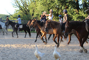 Photo n°5 de Ferme Equestre du Mas de Laval (balade à cheval/Fromages de chèvre Bio) à Salvagnac-Cajarc (Club d'équitation)