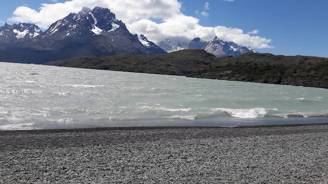 Opiniones de TAPIZ en Punta Arenas - Restaurante