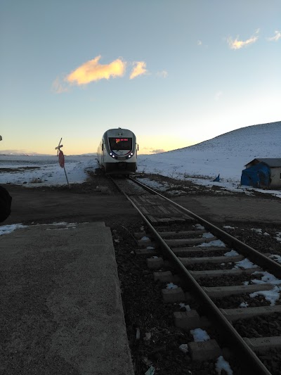 Kars Akyaka Treni Camuşlu Köyü Durağı