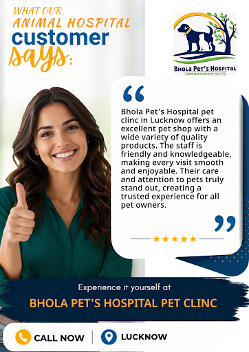 Bhola Pet's Hospital pet clinic offers trusted pet shop services, expert pet grooming, and compas… post image