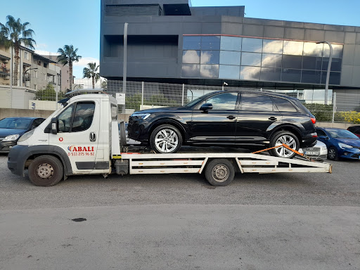 Abalı Oto Kurtarma Yedi Emin Otoparkı