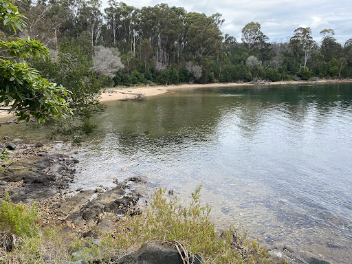 Davidson Whaling Station