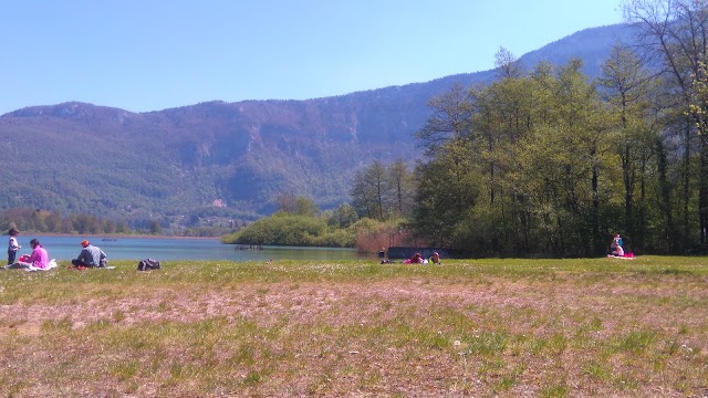 Plage De Lépin-Le-Lac