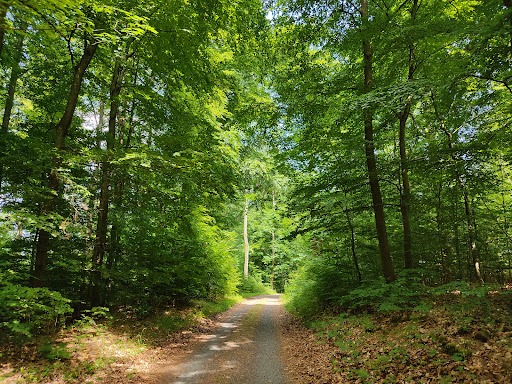 Kirchwald