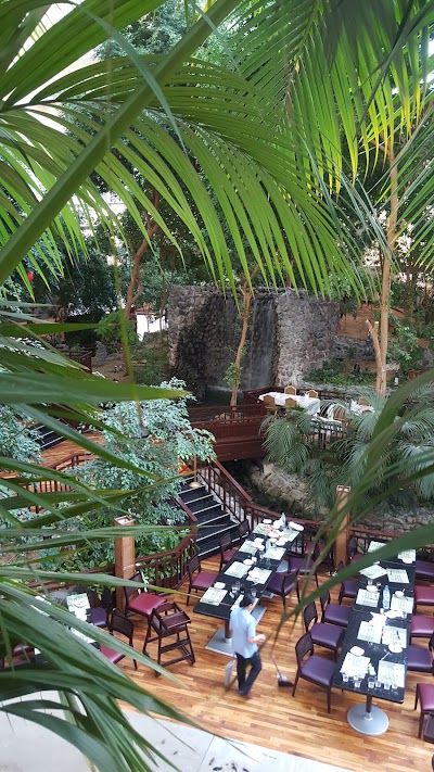 Photos of Caf&eacute; at the Falls