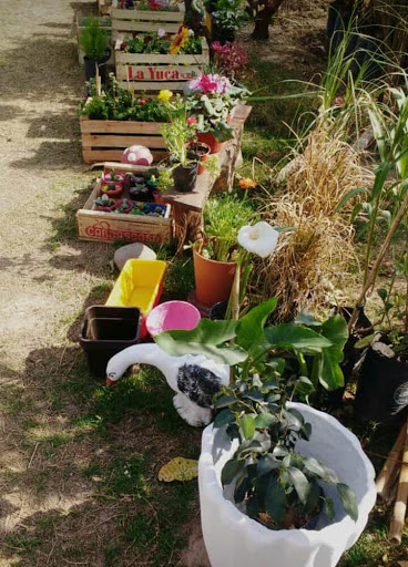 Vivero Shalom - Foto 1