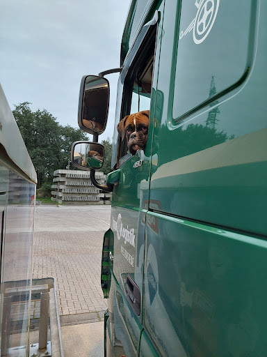 Trans M - Logistik GmbH - Thumbnail