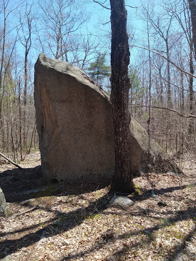 Herring Pond Rock - Thumbnail