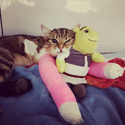 Photo n°33 de Lingostière Clinique Vétérinaire à Nice (Vétérinaire)