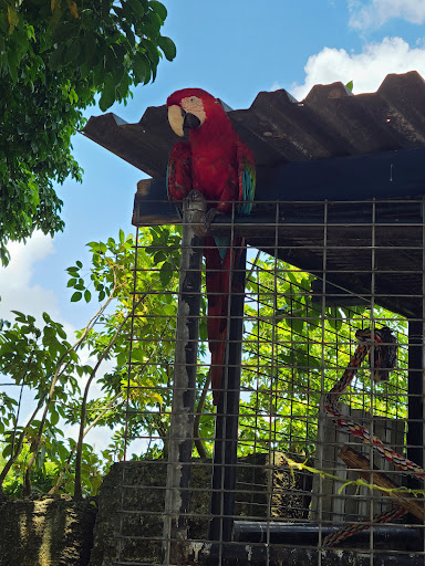 Everglades Outpost - Visual