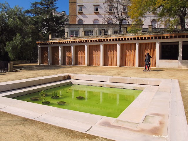 Jardin botanique de Coimbra