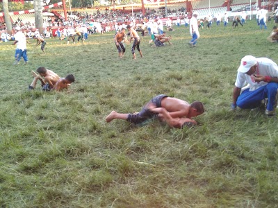 Photos of Mega Park