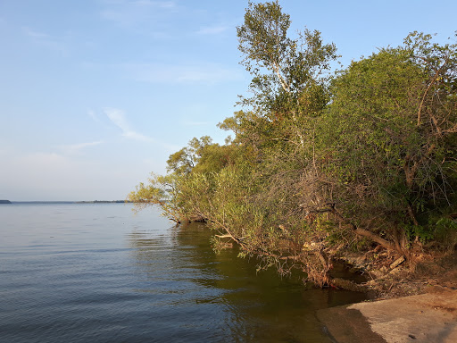 H. J. McFarland Conservation Area - Thumbnail