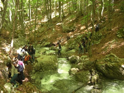 Photos of Pollino Rafting