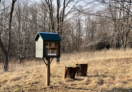 Whitmore Lake Preserve - Thumbnail