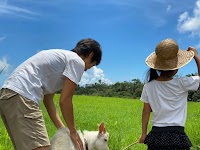 南国徳之島かえる農園