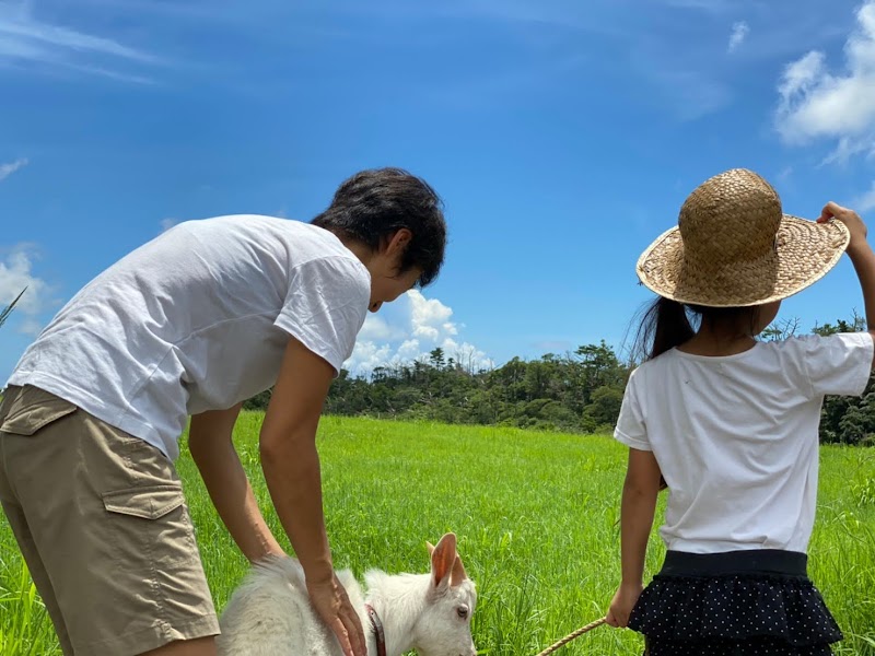 南国徳之島かえる農園