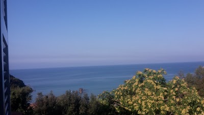 Photos of Hotel Ariana