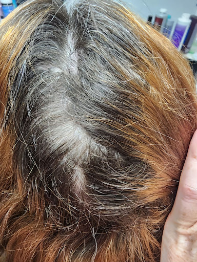 Nidia's Salon Gallery - United States