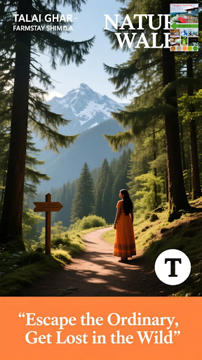 Escape to serenity at Talai Ghar Farmstay Shimla! Explore lush forests on our Nature Walks, rejuv… post image