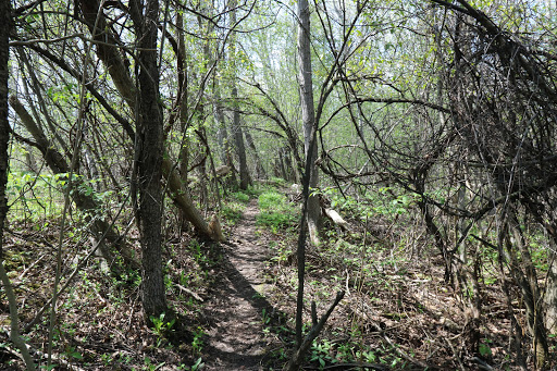 Millar Side Trail - Visual
