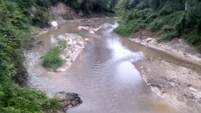 Ponchatoula Creek