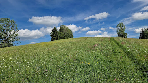 Kraftplatz Bardlberg - Thumbnail