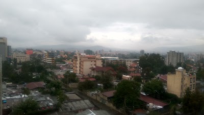 Photos of Back Yared