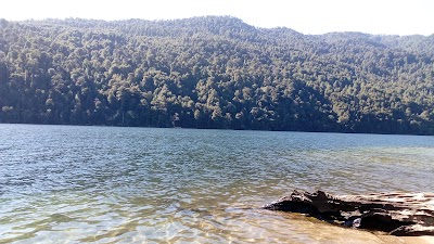 park