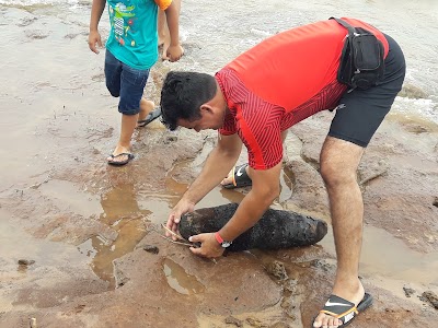 Photos of Santa Tecla Camping