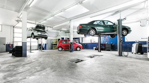 Autofit Jannis vehicle - Thumbnail
