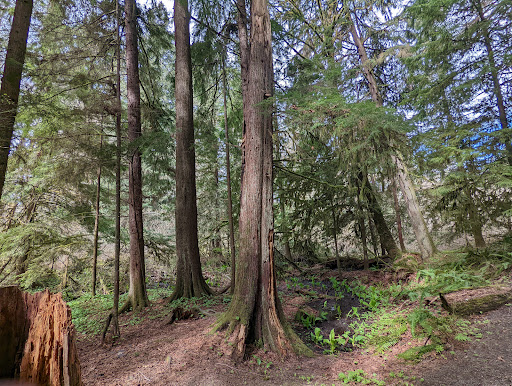 Watershed Park - Visual