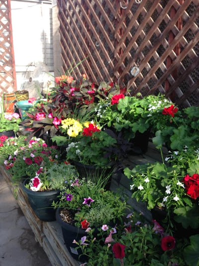 Sunnybrook Flowershop & Greenhouse