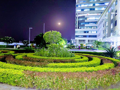 Af1qipovzo Ndqsy9hwj3ncdtpr8qup2 Fhvldy9015u=s387 K No