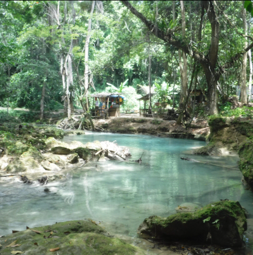 Your Jamaican Tour Guide - Thumbnail