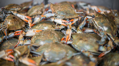 Photos of Captain White&rsquo;s Seafood