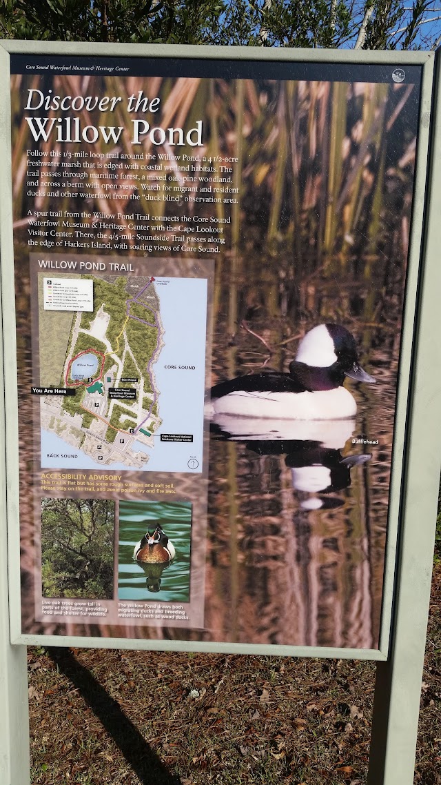 Willow Pond