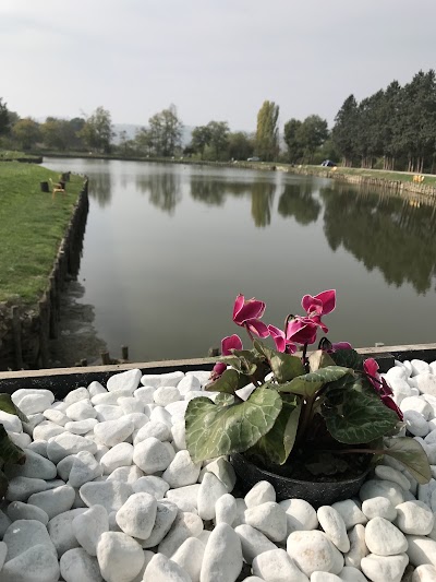 Photos of Lake Felloniche from Garnadone