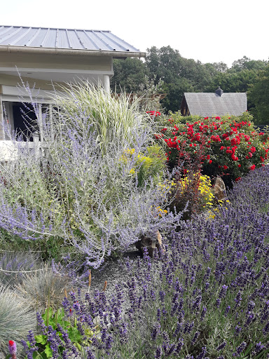 Photo de Domaine de la Motte à Signy-le-Petit (08380)