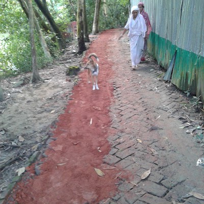 Photos of East Syedpur Durga Temple