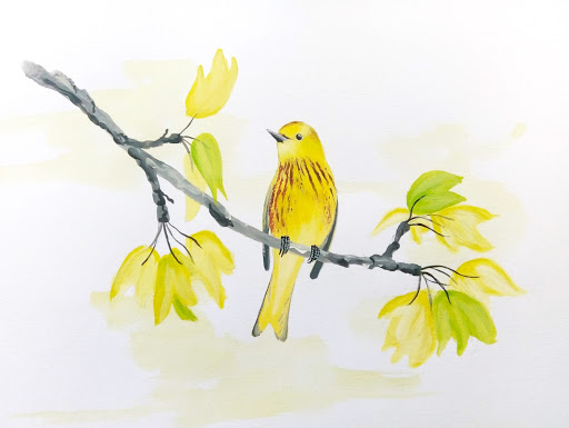 Birds-Blooms