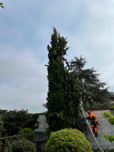 Photo de Auriac sur Dropt