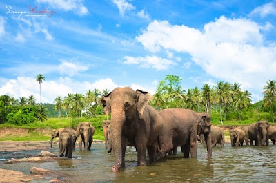 Photos of JK Travels & Tours